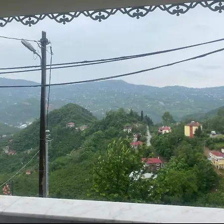 Modern Koey Evi Villa